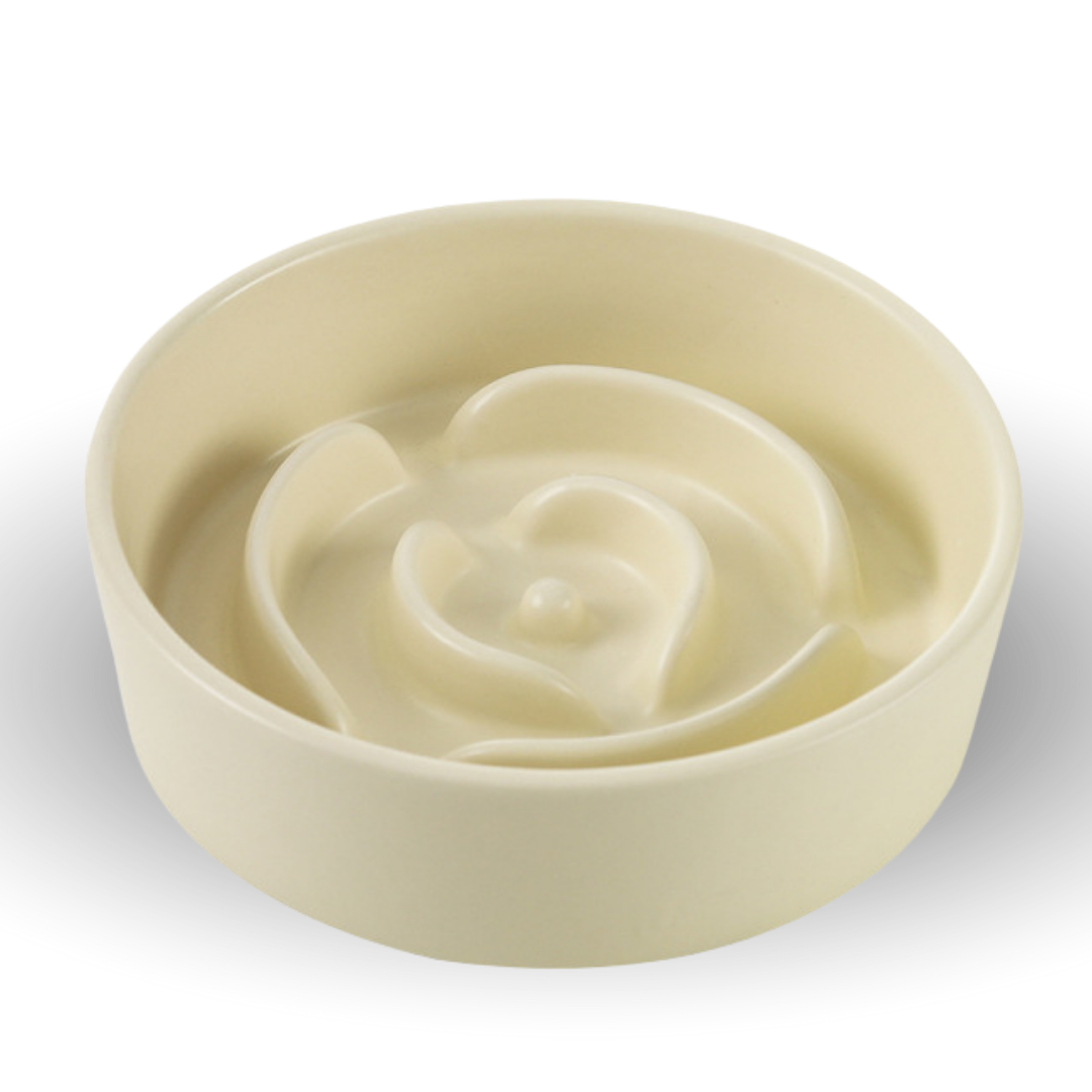 PawMex Anti-Choking Dog Bowl