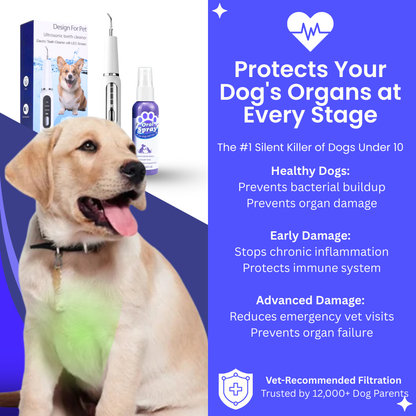 Canidex Ultrasonic Dental Kit