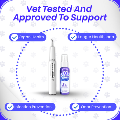 Canidex Ultrasonic Dental Kit