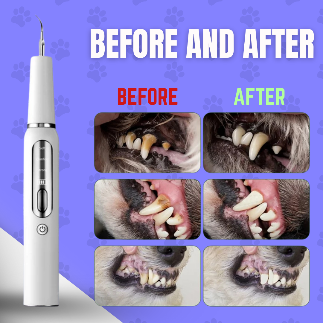 Canidex Ultrasonic Dental Kit