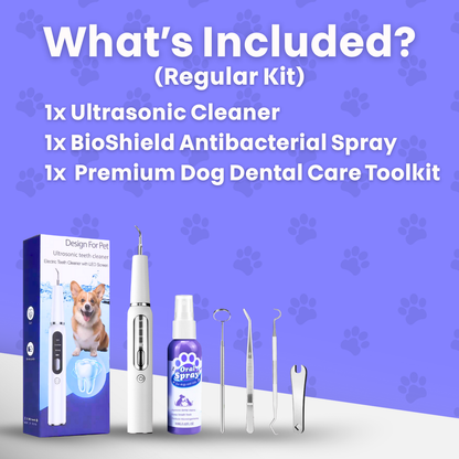 Canidex Ultrasonic Dental Kit