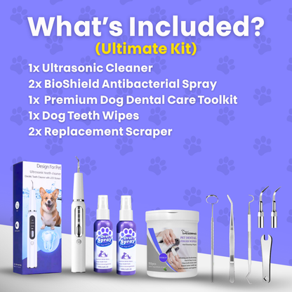 Canidex Ultrasonic Dental Kit