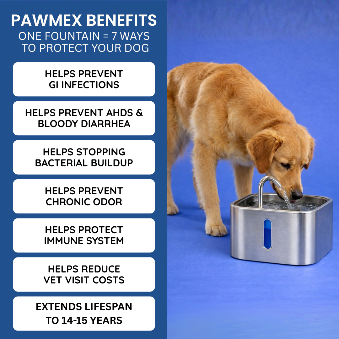 PawMex Stainless Steel Water Fountain (8 Filters)