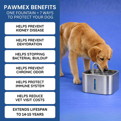 PawMex Ultimate Water Filtration Kit