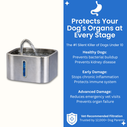 PawMex Ultimate Water Filtration Kit